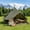 Green, variant on JXXRZ 9.8FT Bell Tent for Camping, Waterproof 4 Season Glamping Tent with Stove Jack, Beige