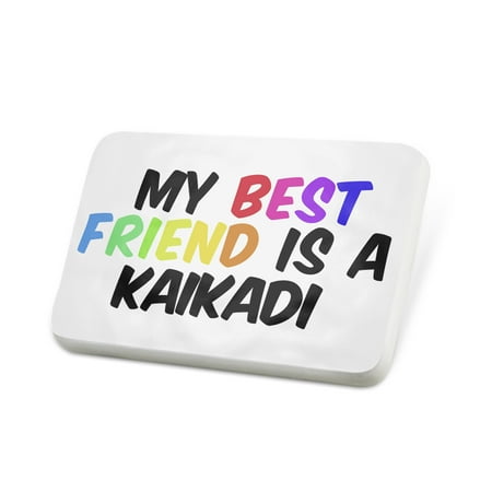 Porcelein Pin My best Friend a Kaikadi Dog from India Lapel Badge – (Best Dogs For Apartments India)