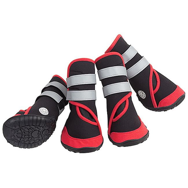 blue miniature whippet