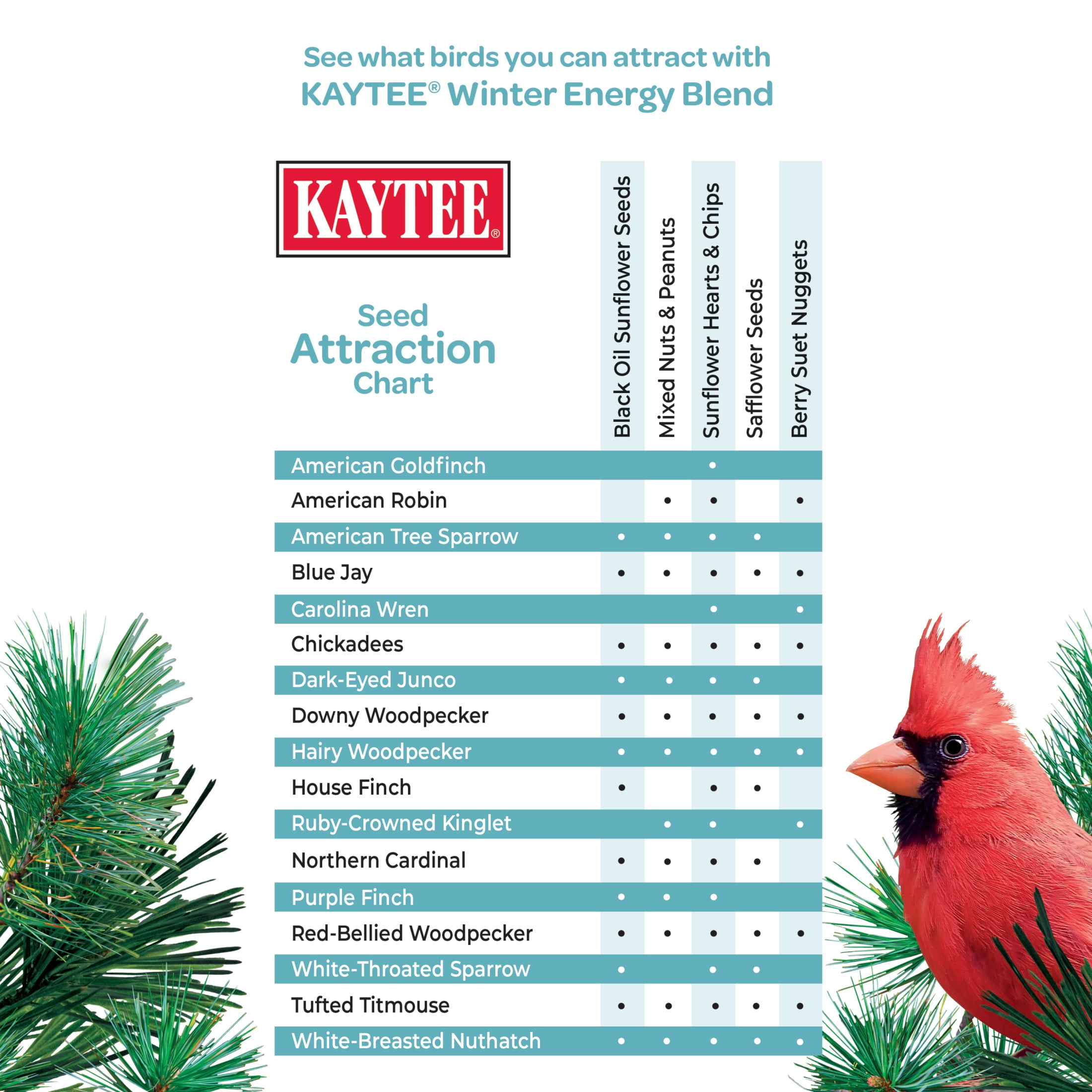 Kaytee Winter Energy Blend 8 lbs