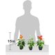 thumbnail image 2 of Artificial Flower fake Plants Calla Lily Faux Small Potted Plant with Pot Fake Bonsai Flower for Home Office (white), 2 of 4