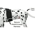 thumbnail image 2 of Pet Tracker GPS Dog Collars Tracking Device for Wireless Pet Security Size:L, 2 of 5