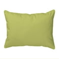 thumbnail image 4 of Betsy Drake SN045 11 x 14 in. Two Turtles Small Indoor & Outdoor Pillow, 4 of 4
