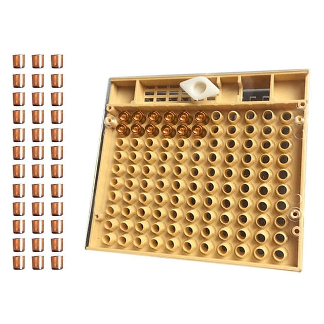 Beekeeping Tools Equipment Set Queen Rearing System Cultivating Box 110pcs Plastic Bee Cell Cups Cup kit Queen Cage