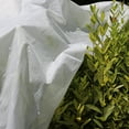 thumbnail image 3 of 2x10m Gardening Antifreeze Cloth 30g/m2 Material Non-woven Fabric Please Leave A Message When Placing An Order, 3 of 8