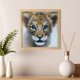 thumbnail image 5 of Cuadros Decorativos DIY 5D gato Animal redondo completo taladro Rhinestone diamante pintura mosaico trabajo hecho a mano DQrwqpou Nuevos Originales, 5 of 8