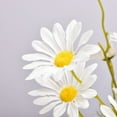 thumbnail image 4 of LOVE DOCK 3 Pieces 5 Head Daisy Simulation Daisy Cosmos Home Decoration Chamomile Artificial Flowers, 4 of 4