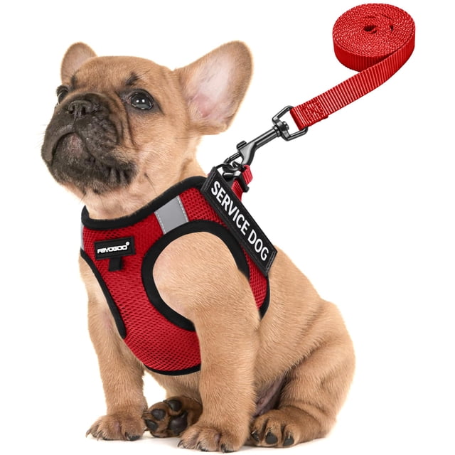 Chaleco FAYOGOO para perros de servicio, ligero, para razas pequeñas, con parches