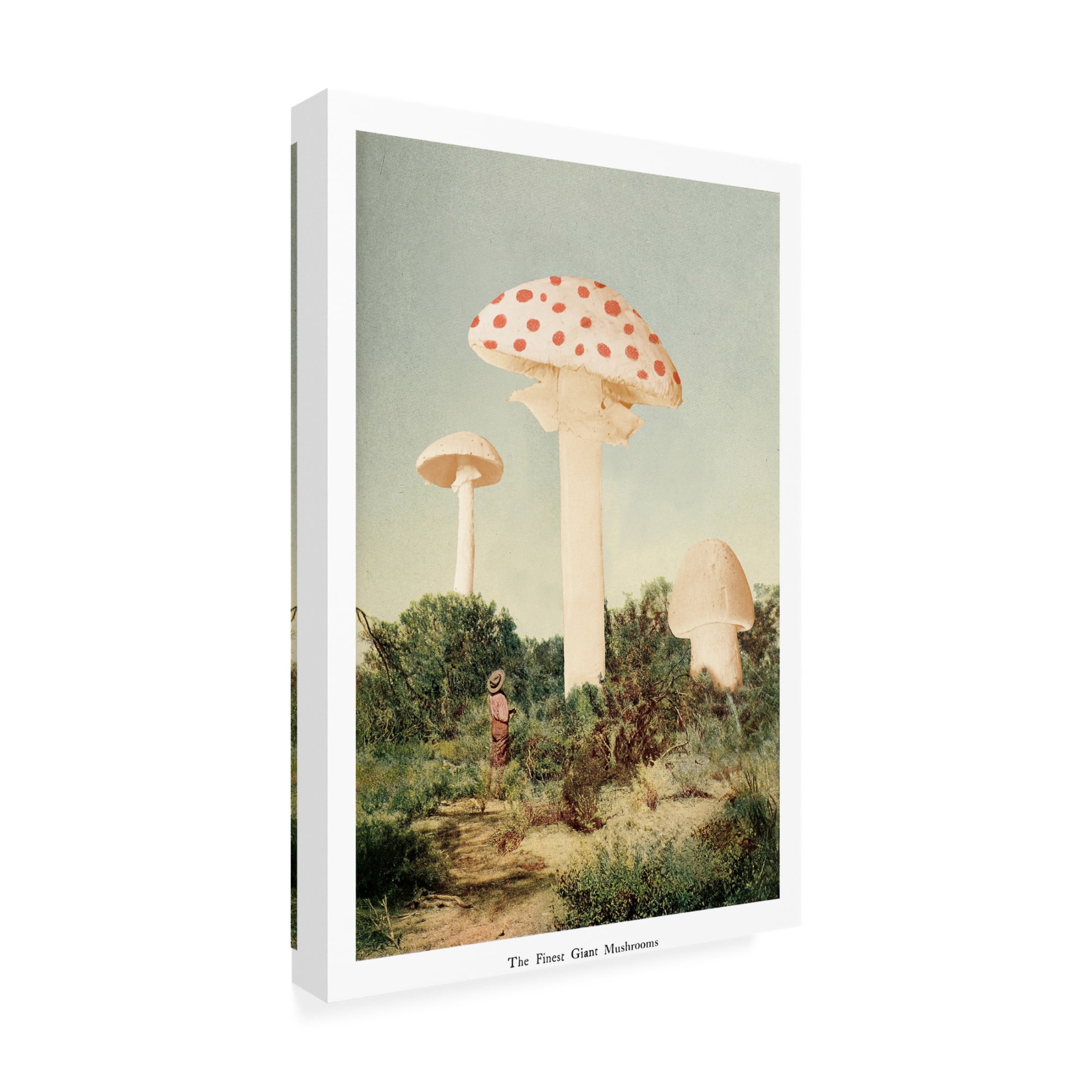 Trademark Fine Art Florent Bodart The Finest Giant Mushroom Canvas Wall Art