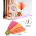 thumbnail image 2 of 60pcs Faux Pampas Grass Pink Orange Fall Decor, 17.7inch Short Artificial Pompous Grass Fluffy Branches Vase Filler Fake Flower Arrangement for Home Wedding  Decor, Rose Apricot, 2 of 10