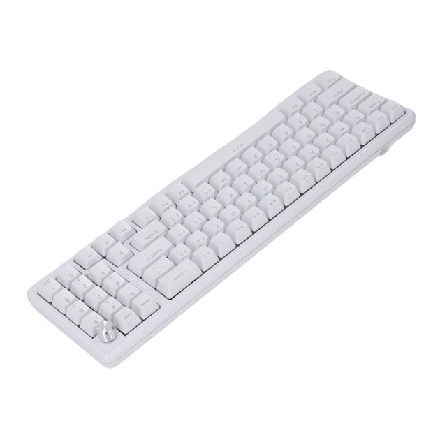 75% Mechanical Gaming Keyboard, RGB Backlit Mechanical Keyboard with Volume Knob, Blue Switch, N Key Roll Over, 78 Keys USB Wired Office Keyboards for PC Laptop