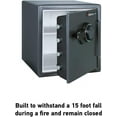 Sentry Safe 1.23 Cu. Ft. Capacity Combination FireSafe Floor Safe