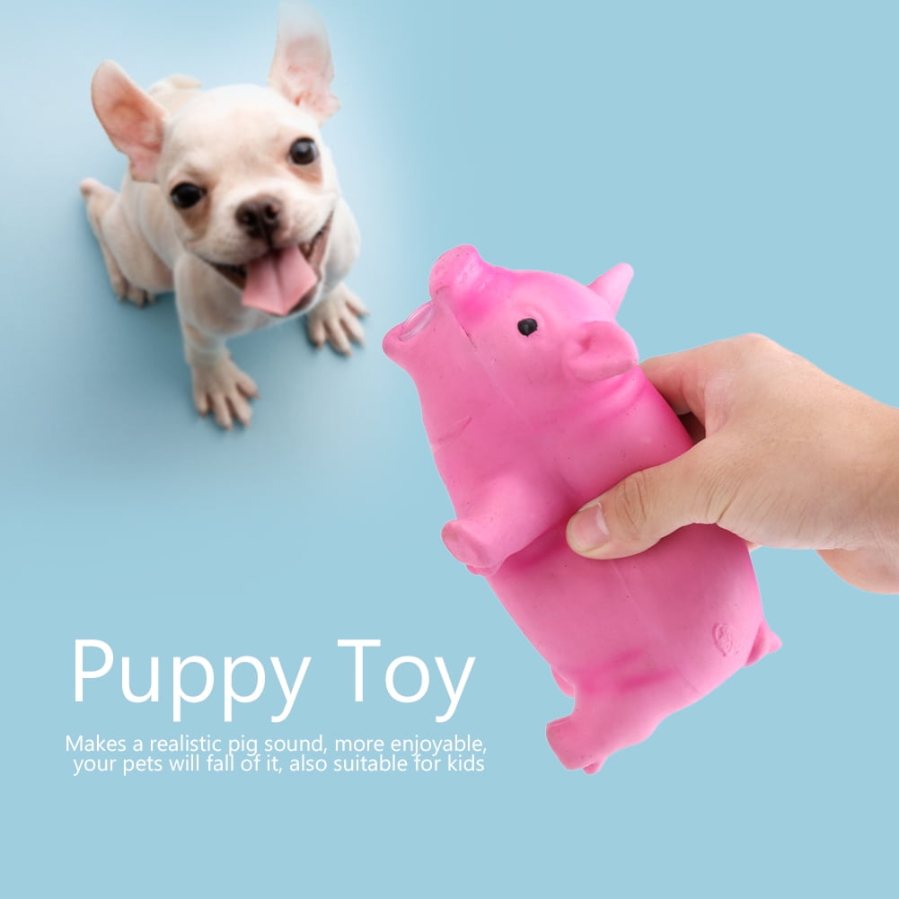 latex pig dog toy walmart