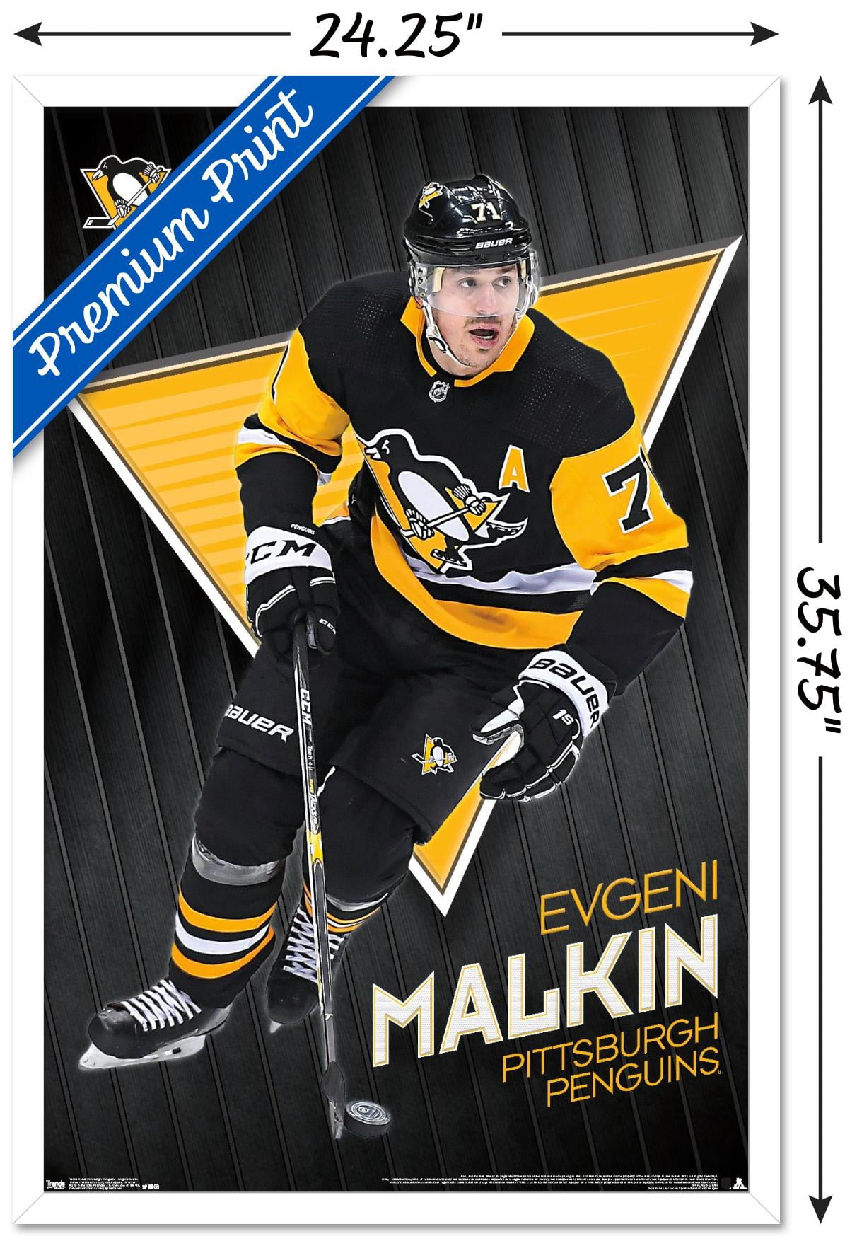 NHL Pittsburgh Penguins - Evgeni Malkin 19 Wall Poster, 22.375" x 34" Framed