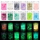 thumbnail image 1 of Brillo Luminoso Para Uñas De 12 Colores Que Brilla En La Oscuridad Brillo Holográfico Grueso Para Manualidades Y Decoración De Fiestas Kearding CE007392-02, 1 of 6