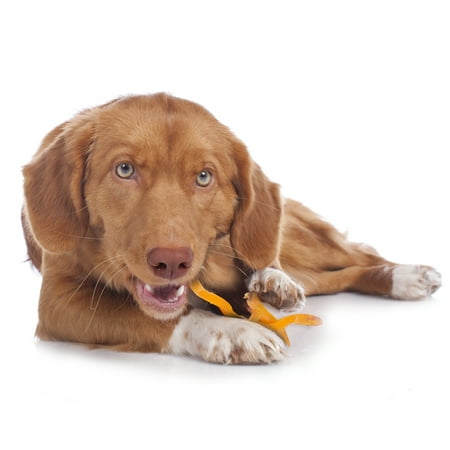 UPC: 0768303013874 | Cadet Sweet Potato Fries Dog Treats  2 lb