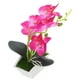 thumbnail image 3 of KAKOWELY Mini orquídea artificial para mesa, adorno de mesa, ideal para baño y cocina., 3 of 4