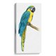 thumbnail image 1 of Cuadro decorativo - Macaw Teal I, Grace Popp 80x160 Canvas Lab Animales, Costal, Naturaleza, Animales y naturaleza, Tropical, 1 of 2