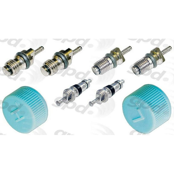 Global A/C System Valve Core and Cap Kit 1311684