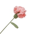 thumbnail image 3 of Bgsha Carnation Crochet Flower Single Bunch Knitted Flower Mother's Day Present, 3 of 9