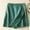 Green, variant on RYDCOT Women's Solid Color Casual High Waisted Plus Size Beach Shorts White