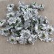 thumbnail image 4 of IFANLANDOR 100Ud Rosas Artificiales Plateadas En Seda Para Guirnaldas Y Decoraciones De, 4 of 8