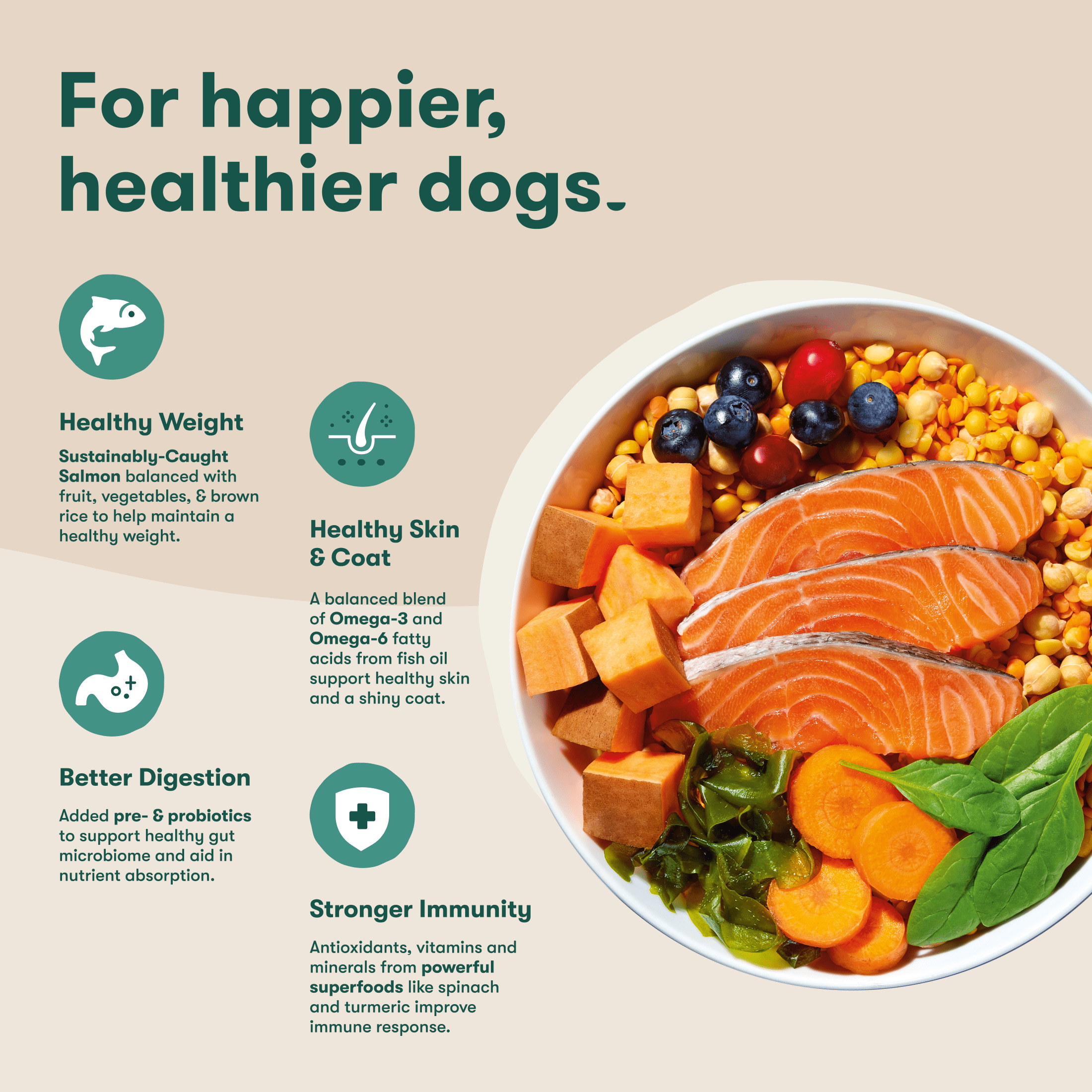 Jinx Salmon, Sweet Potato, & Carrot Grain Free Dry Dog Food, 4 lb Bag