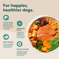 thumbnail image 4 of Jinx Salmon, Sweet Potato, & Carrot Grain Free Dry Dog Food, 4 lb Bag, 4 of 11