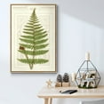 thumbnail image 5 of Garden Ferns V - Framed Gallery Wrapped Holiday Canvas - 17 x 25 - Natural Wood Frame, 5 of 8