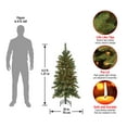 thumbnail image 3 of National Tree Company 4.5 ft Pre-Lit Tiffany Fir Slim Artificial Christmas Tree with Clear Lights and Stand, 3 of 5