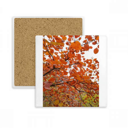 

red autumn art deco fashion coaster cup mat mug subplate holder insulation stone