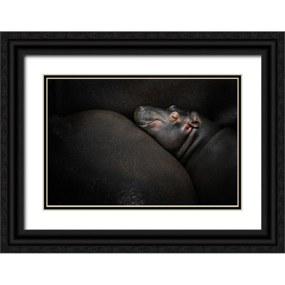 Vales, Zdenek 32x23 Black Ornate Wood Framed with Double Matting Museum Art Print Titled - Dreamin