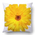 thumbnail image 1 of BSDHOME Yellow Isolated Flower Pillowcase Pillow Cushion Cover 20x20 inch, 1 of 1