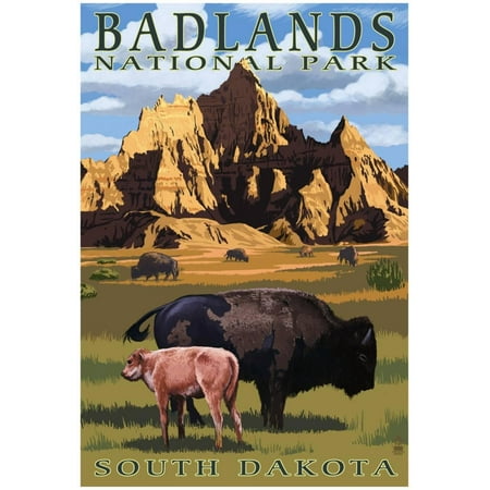 Badlands National Park, South Dakota - Bison Scene Poster -