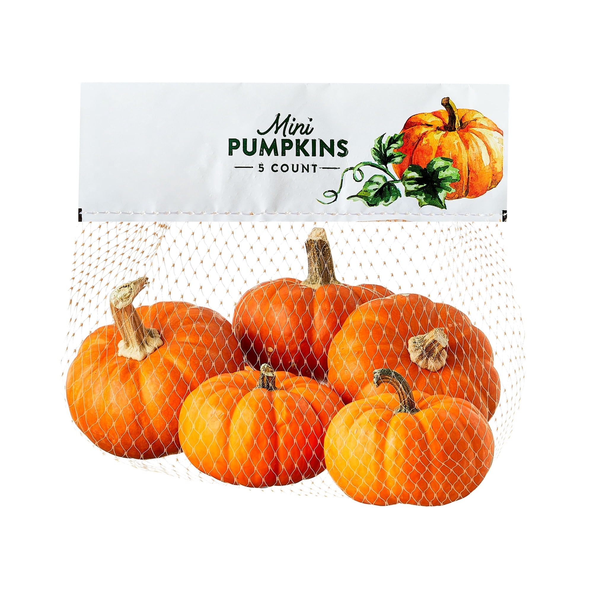 Fresh Mini Pumpkins, 5 Count Bag