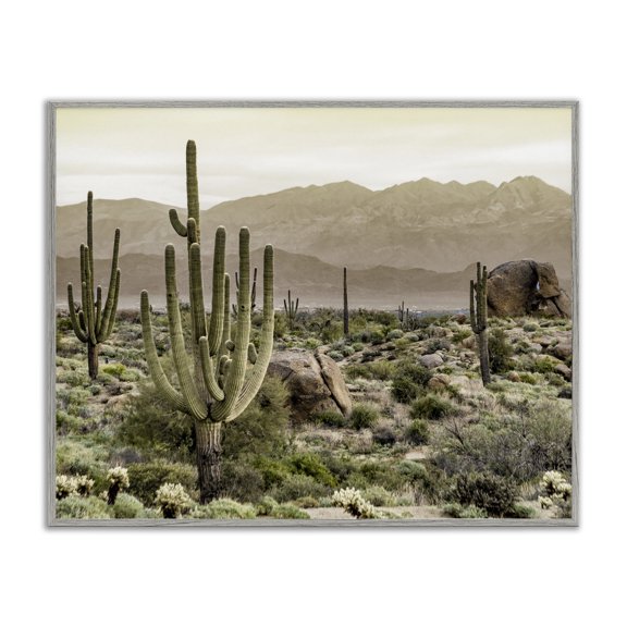 Stupell Industries Rustic Lodge Rocky Desert Landscape Gray Framed Giclee Art, 30 x 24, by Kim Allen