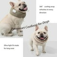 thumbnail image 5 of Petzymart Cool Loop, Petzymart Cooling Collar, Petzymart Coolloop for Dogs, Lightweight and Comfortable Cooling Collar for Dog with Ice Packs, Essentials for Dogs to Go Out in Summer (Green, L), 5 of 10