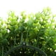 thumbnail image 4 of Conjunto de 3 Topiario Artificial DYNWAVEMX 24 cm 34 cm Simulación de Eucalipto Bola de Topiary artificial, 4 of 8