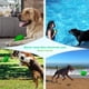 thumbnail image 4 of Juguetes para perros para masticadores agresivos Pelota interactiva de goma para cachorros con chirriador Juguete masticable para mascotas casi indestructible y duradero para razas medianas y grandes JAMW  Sencillez, 4 of 5