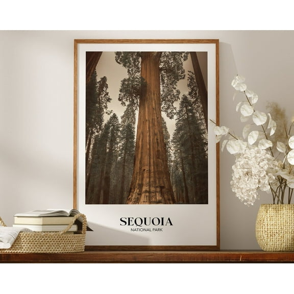Rustic Sequoia National Park Poster, Country Travel Print, Midcentury Modern Art, Minimalist Decor, Vintage Style Wall Art, Gift Wall Art, Modern Wall Decor, 8x12 UNFRAMED