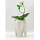 thumbnail image 3 of Soporte de cerámica para cepillos de dientes, para lápices, carne, plantas, macetas, hogar, oficina, escuela, regalo dental, 3 of 6