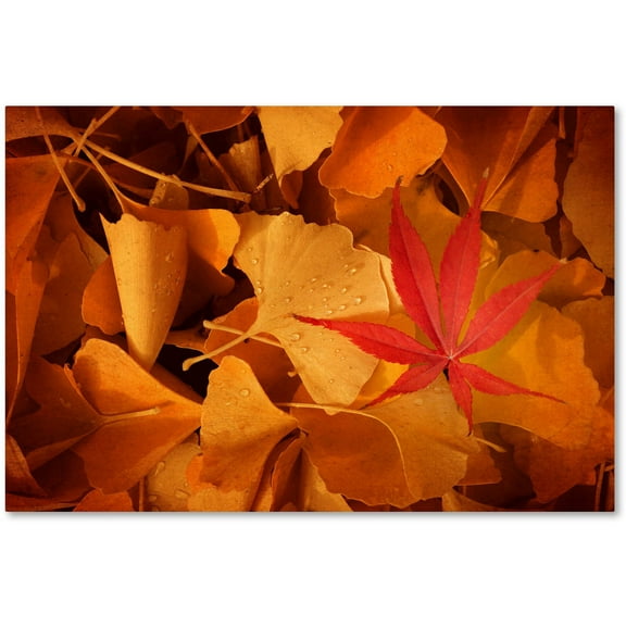 Trademark Fine Art "Lost & Found" Canvas Art by Philippe Sainte-Laudy