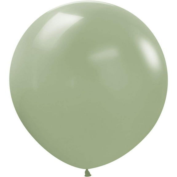 24 inch Sempertex Deluxe Eucalyptus Green Latex Balloons (10 Pack) - Party Supplies Decorations