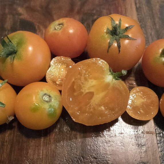 Containers Choice Orange F1 Hybrid Tomato Seeds - 0.25 Oz ~1700 Seeds - Non-GMO, F1 Hybrid - Vegetable Garden - Lycopersicon esculentum