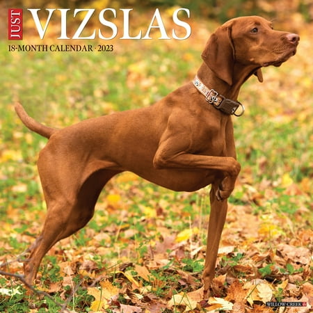 UPC: 0709786072897 | Just Vizslas 2023 Wall Calendar