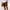 Coffee, variant on Mens Shorts Clearance under $10,Mens Casual Solid Pocket Elastic Waist Straight Half Shorts Sport Pants