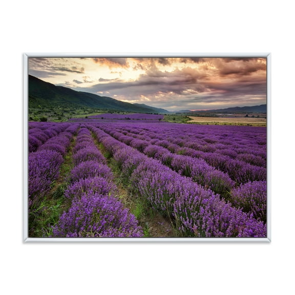 Designart 'Lavender Field At Sunrise I' Farmhouse Framed Canvas Wall Art Print