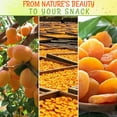 Dried Turkish Apricots 2 LB Bulk Fresh Dehydrated Natural Apricots