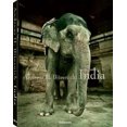 thumbnail image 2 of Andreas H. Bitesnich India, 2 of 3