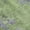 Aloe, variant on Addison Rugs Chantille Indoor/Outdoor Transitional Floral Aloe Machine Washable Rectangle Rug, 10' x 14'